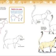 Cómo dibujar perros y gatos a partir de formas básicas Art.-Nr. 219101
