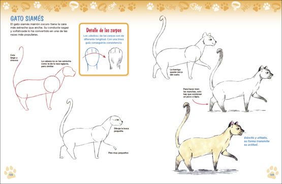 Cómo dibujar perros y gatos a partir de formas básicas Art.-Nr. 219101