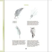 Plantas y Flores Tropicales a la Acuarela Art.-Nr. 219109