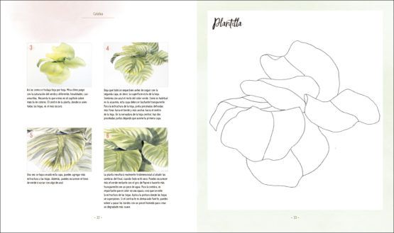 Motivos botánicos a la Acuarela Art.-Nr. 219114