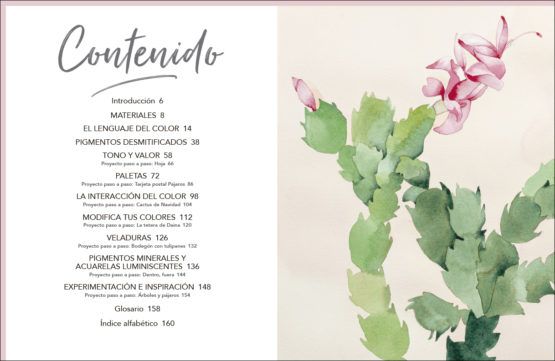 El color desmitificado. Guía completa para mezclar y usar acuarelas Art.-Nr. 219128