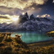 Heye Puzzle 1000 Guanacos Art.-Nr. 29815