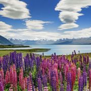 Heye Puzzle 1000 Lago Tekapo Art.-Nr. 29902