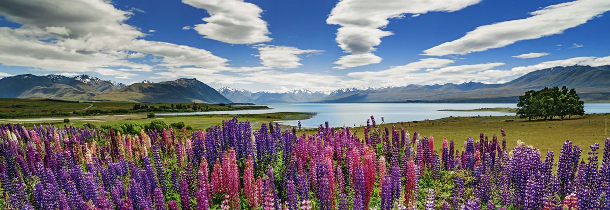 Heye Puzzle 1000 Lago Tekapo Art.-Nr. 29902