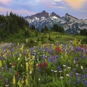 Heye Puzzle 2000 Tatoosh Mountains – Edition Alexander von Humbolt Art.-Nr. 29903
