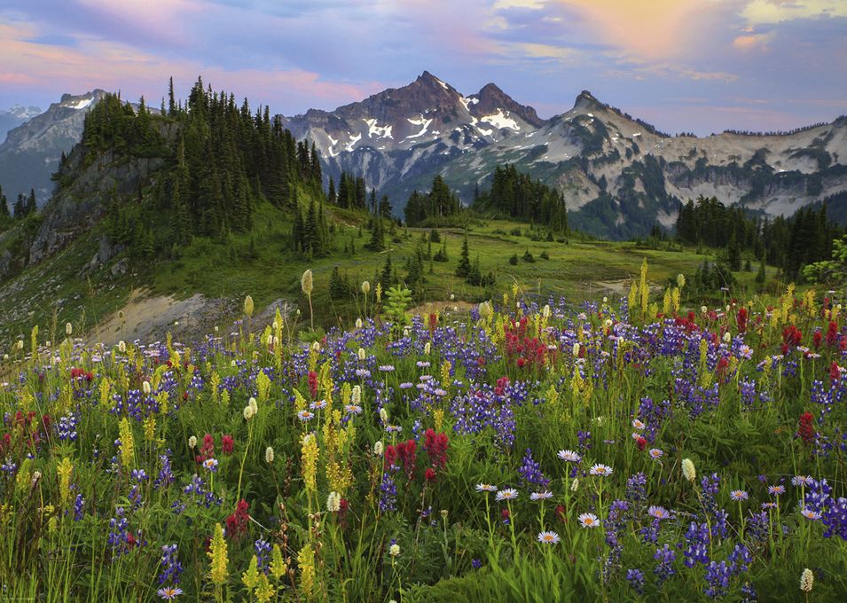 Heye Puzzle 2000 Tatoosh Mountains – Edition Alexander von Humbolt Art.-Nr. 29903