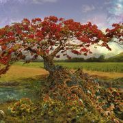 Heye Puzzle 1000 Strontium Tree Art.-Nr. 29909