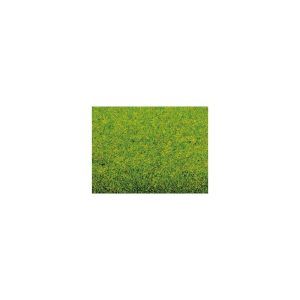 Tapiz de Hierba Primavera 200 x 100 Art.-Nr. 00010