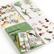 Paper Craft Book Natural History Art.-Nr. 4040