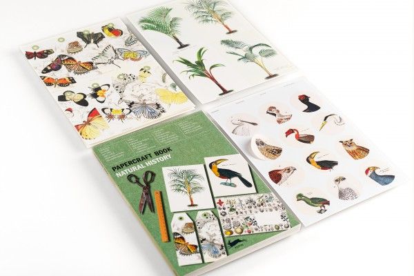 Paper Craft Book Natural History Art.-Nr. 4040