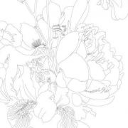 Artists’ Colouring Book Still Life Bouquets Art.-Nr. 8048