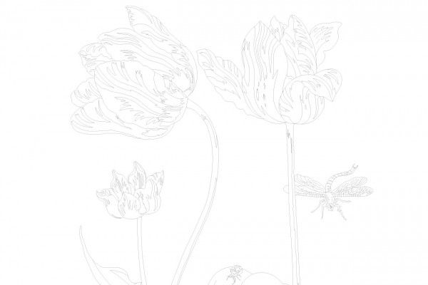 Artists’ Colouring Book Still Life Bouquets Art.-Nr. 8048