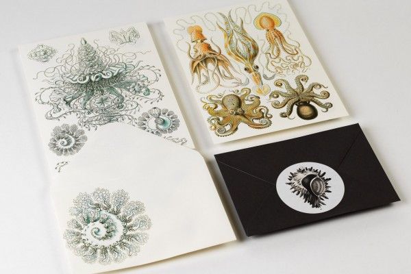 Letter Writing Set Art Forms in Nature Art.-Nr. 4828