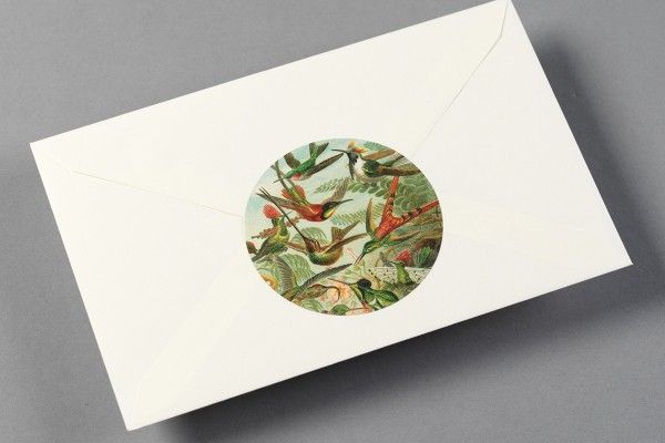 Label, Sticker & Tape Book Art Forms In Nature Art.-Nr. 4248
