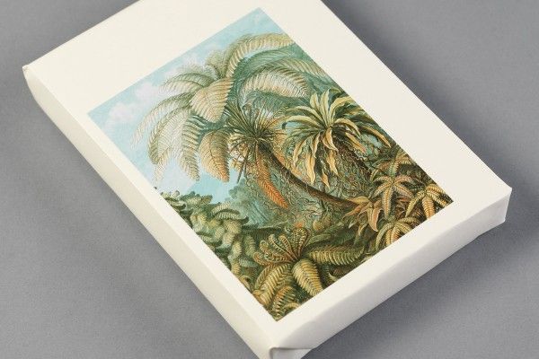 Label, Sticker & Tape Book Art Forms In Nature Art.-Nr. 4248