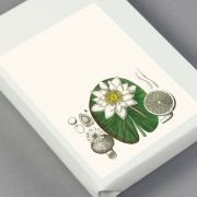 Label, Sticker & Tape Book Flora Art.-Nr. 4262