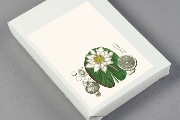 Label, Sticker & Tape Book Flora Art.-Nr. 4262