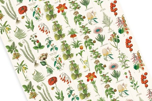 Label, Sticker & Tape Book Flora Art.-Nr. 4262