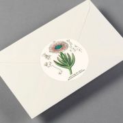 Label, Sticker & Tape Book Flora Art.-Nr. 4262