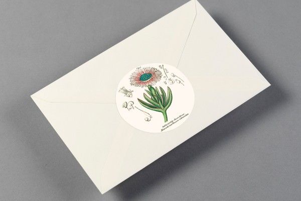 Label, Sticker & Tape Book Flora Art.-Nr. 4262