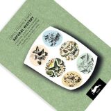 pepin-LabelSticker_Book_Natural_History-600x400-1.jpg