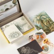 Letter Writing Set Art Forms in Nature Art.-Nr. 4828