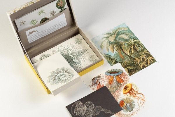 Letter Writing Set Art Forms in Nature Art.-Nr. 4828