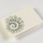 Letter Writing Set Art Forms in Nature Art.-Nr. 4828