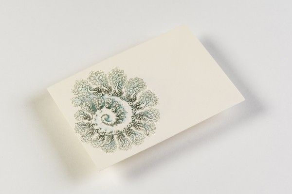 Letter Writing Set Art Forms in Nature Art.-Nr. 4828