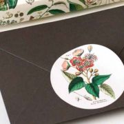 Label, Sticker & Tape Book Flora Art.-Nr. 4262