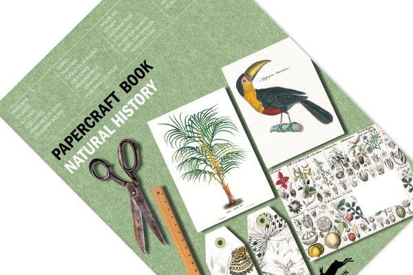 Paper Craft Book Natural History Art.-Nr. 4040