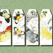 Paper Craft Book Natural History Art.-Nr. 4040