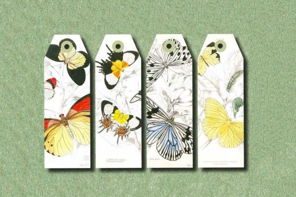 Paper Craft Book Natural History Art.-Nr. 4040