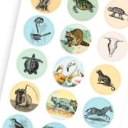 Label, Sticker & Tape Book Natural History Art.-Nr. 4224