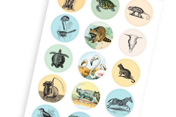 Label, Sticker & Tape Book Natural History Art.-Nr. 4224