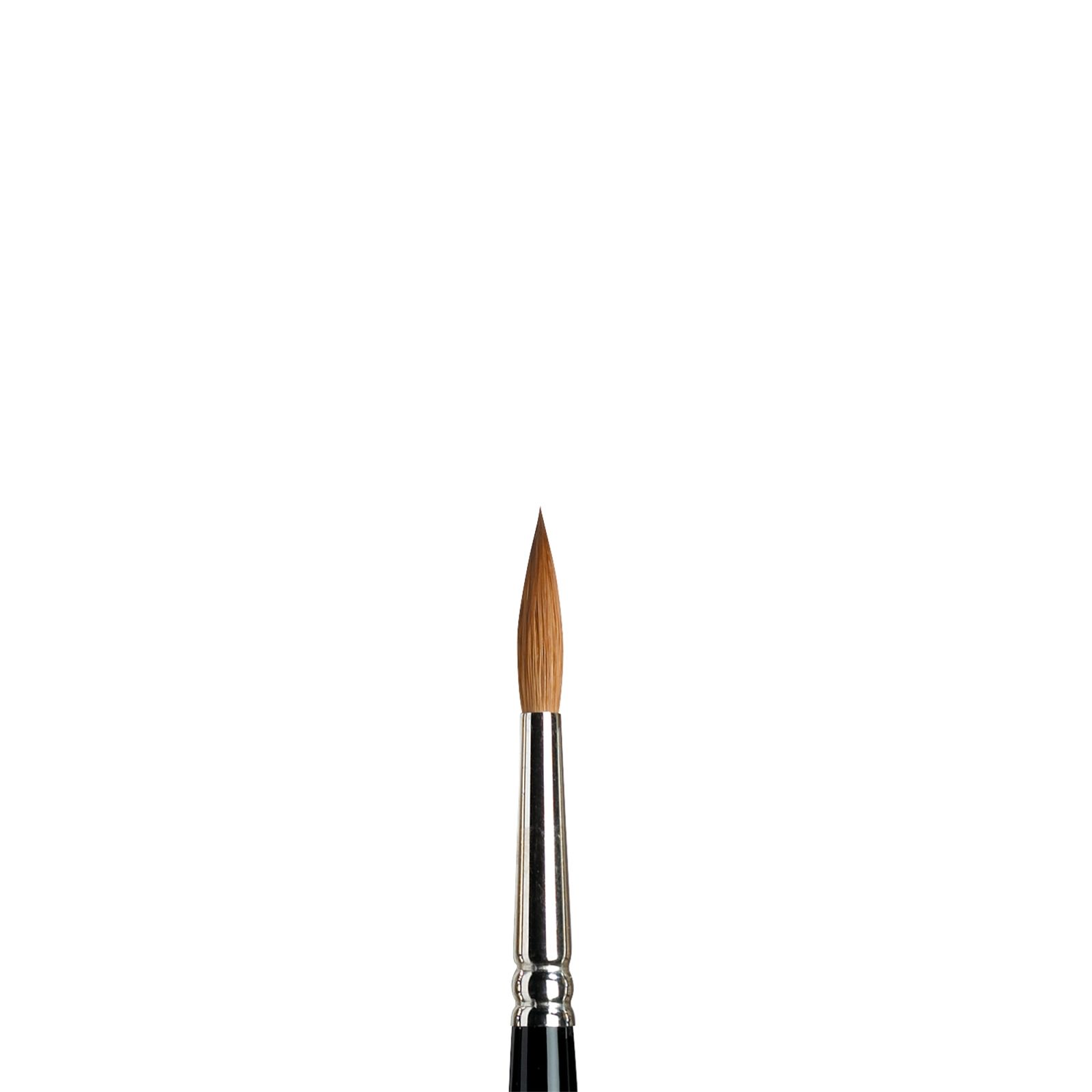 Pincel de Marta Kolinsky SERIE 7 nº 6 Winsor & Newton Art.-Nr. 5007006