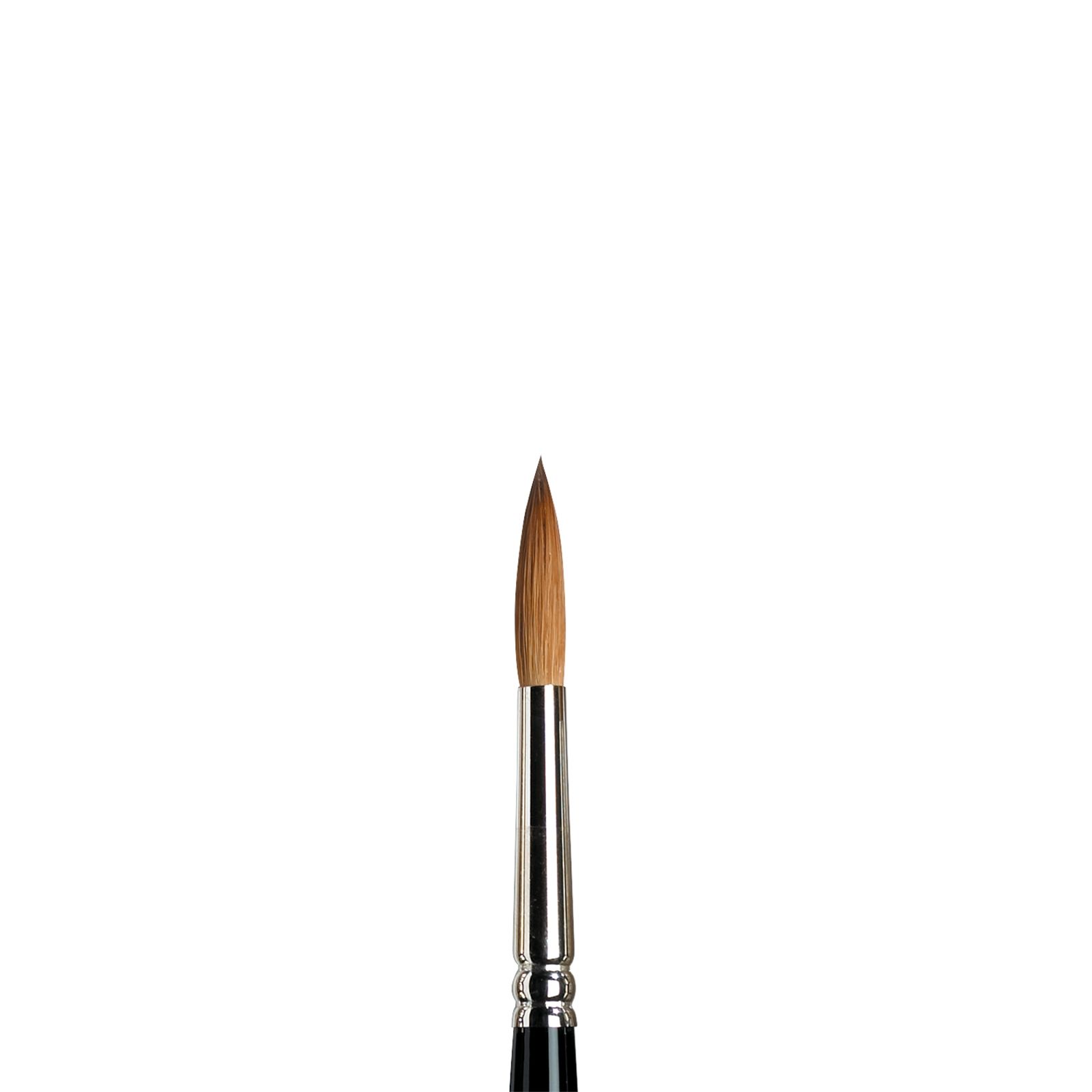 Pincel de Marta Kolinsky SERIE 7 nº 7 Winsor & Newton Art.-Nr. 5007007