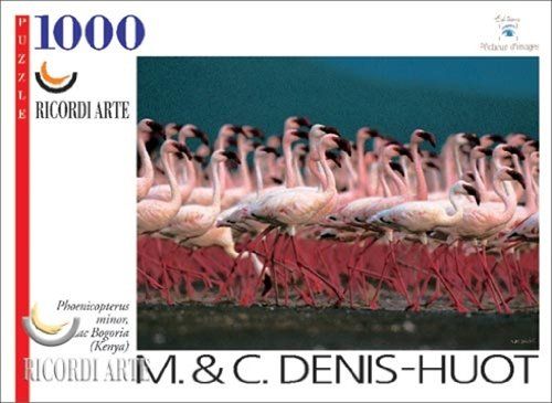 Puzzle 1000 Flamencos Art.-Nr. 15331