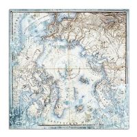 Colección «Arctic Antarctic» 30 x 30