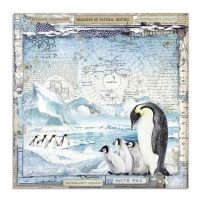 Colección «Arctic Antarctic» 30 x 30