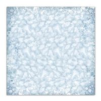 Colección «Arctic Antarctic» 30 x 30