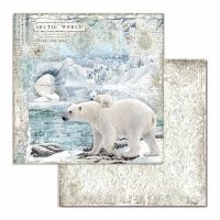 Colección «Arctic Antarctic» 30 x 30