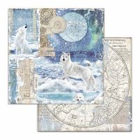 Colección «Arctic Antarctic» 30 x 30