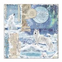 Colección «Arctic Antarctic» 30 x 30