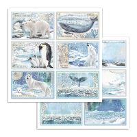 Colección «Arctic Antarctic» 30 x 30