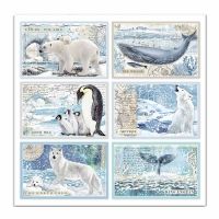 Colección «Arctic Antarctic» 30 x 30