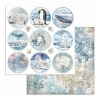 Colección «Arctic Antarctic» 30 x 30