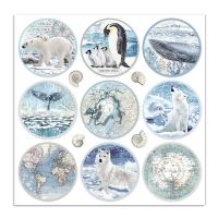 Colección «Arctic Antarctic» 30 x 30