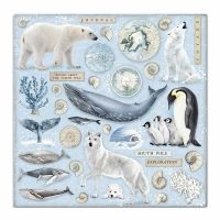Colección «Arctic Antarctic» 30 x 30