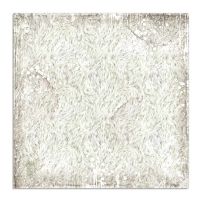 Colección «Arctic Antarctic» 30 x 30
